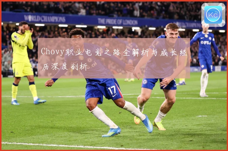 Chovy职业电竞之路全解析与成长经历深度剖析